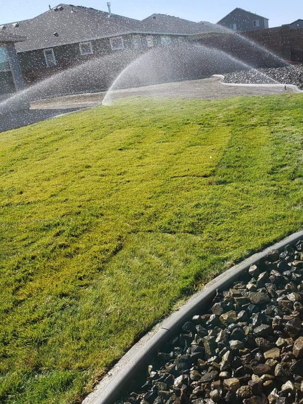 Lawn maintenance with mowing, edging and irrigation